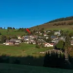 아파트 17 - Ferienresidenz Roseneck, Galeriewohnung, Mit Schwimmbad In Bei Feldberg *