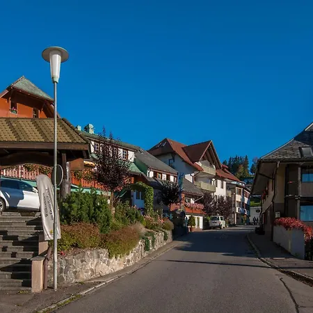 アパート 17 - Ferienresidenz Roseneck, Galeriewohnung, Mit Schwimmbad In Bei Feldberg *