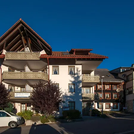 アパート 17 - Ferienresidenz Roseneck, Galeriewohnung, Mit Schwimmbad In Bei Feldberg トートナウベルク
