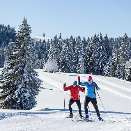 아파트 17 - Ferienresidenz Roseneck, Galeriewohnung, Mit Schwimmbad In Bei Feldberg *
