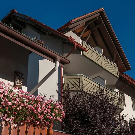 アパート 17 - Ferienresidenz Roseneck, Galeriewohnung, Mit Schwimmbad In Bei Feldberg *