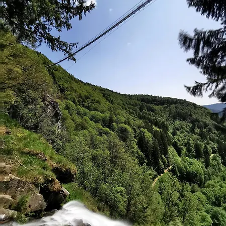 公寓 17 - Ferienresidenz Roseneck, Galeriewohnung, Mit Schwimmbad In Bei Feldberg *