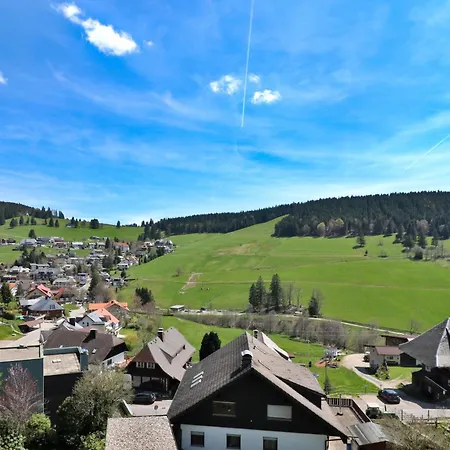 アパート 17 - Ferienresidenz Roseneck, Galeriewohnung, Mit Schwimmbad In Bei Feldberg トートナウベルク