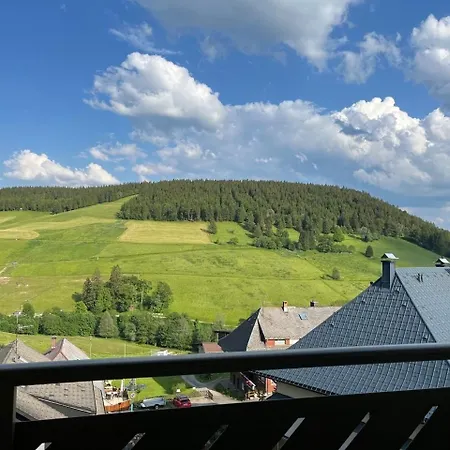 17 - Ferienresidenz Roseneck, Galeriewohnung, Mit Schwimmbad In Bei Feldberg 아파트 토트나우베르크