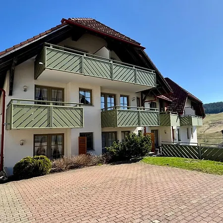 17 - Ferienresidenz Roseneck, Galeriewohnung, Mit Schwimmbad In Bei Feldberg 아파트